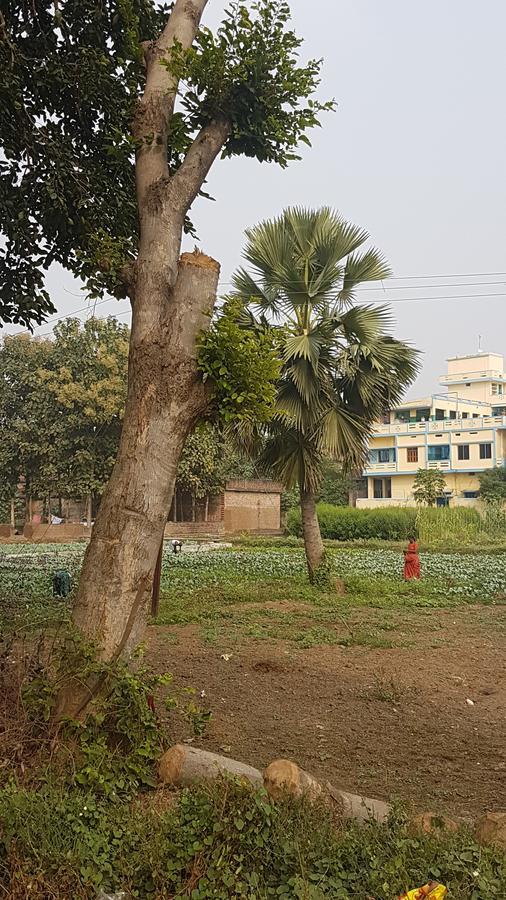 Ansari House Apartment Bodh Gaya Exterior photo